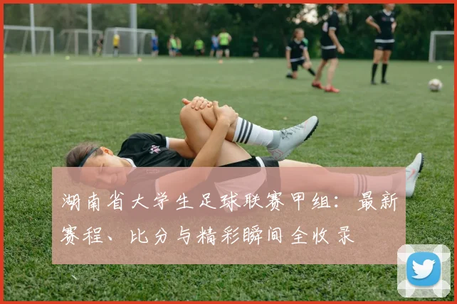 湖南省大学生足球联赛甲组:最新赛程、比分与精彩瞬间全收录