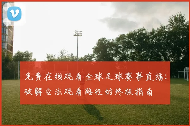 免费在线观看全球足球赛事直播：破解合法观看路径的终极指南