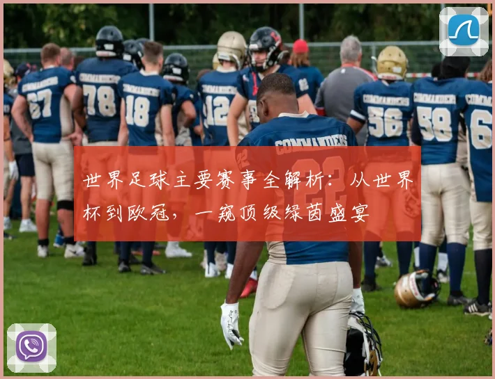 世界足球主要赛事全解析:从世界杯到欧冠,一窥顶级绿茵盛宴